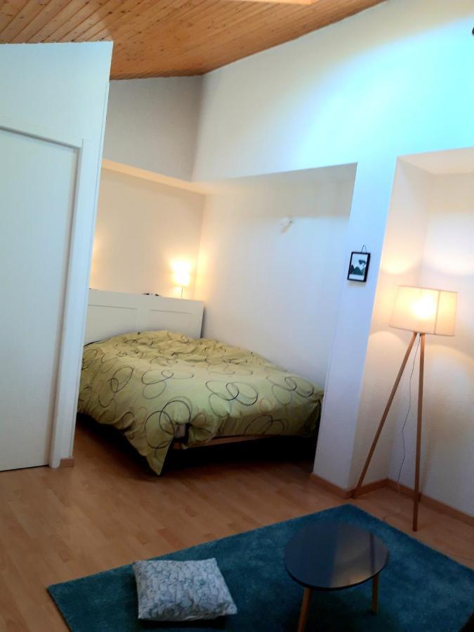 T3 Duplex Lumineux En Centre-ville Apartment *